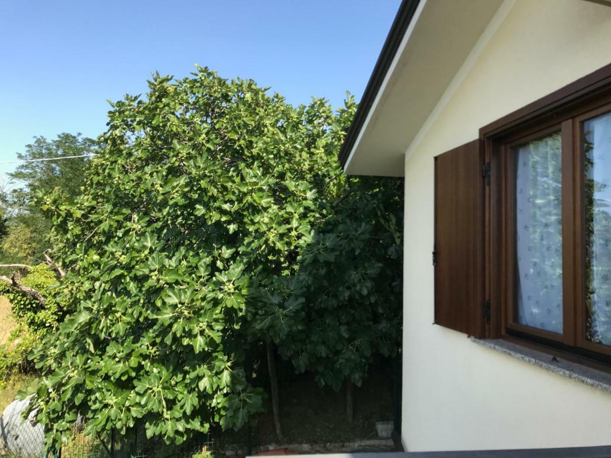 La Casa Di Nonna Bruna 무쟈 외부 사진